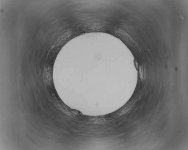 X0000069381107200606091644