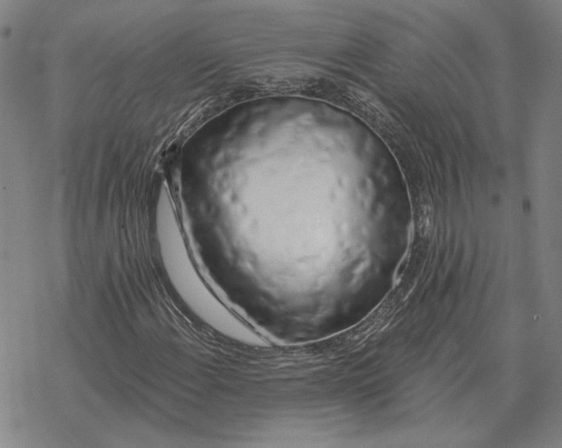 X0000069381108200606091644