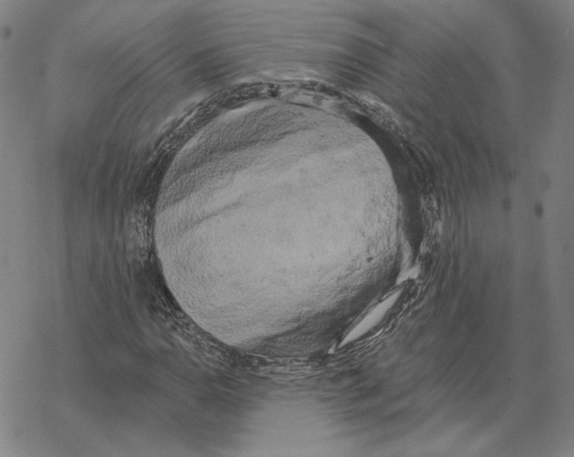 X0000069381110200606091644