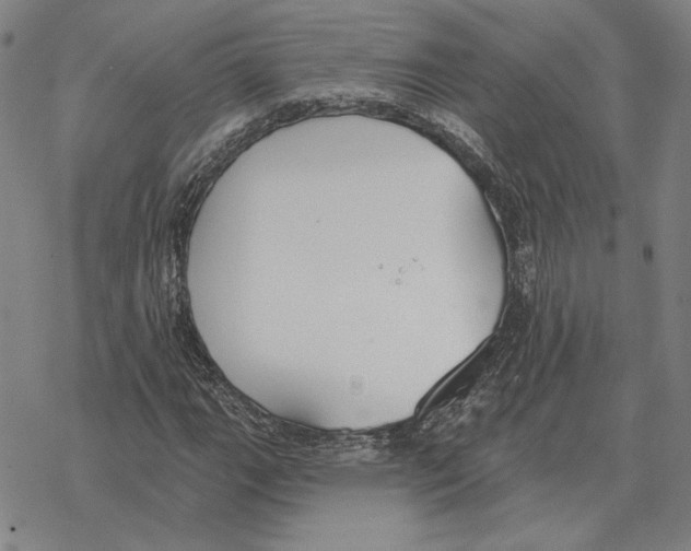 X0000069381111200606091644