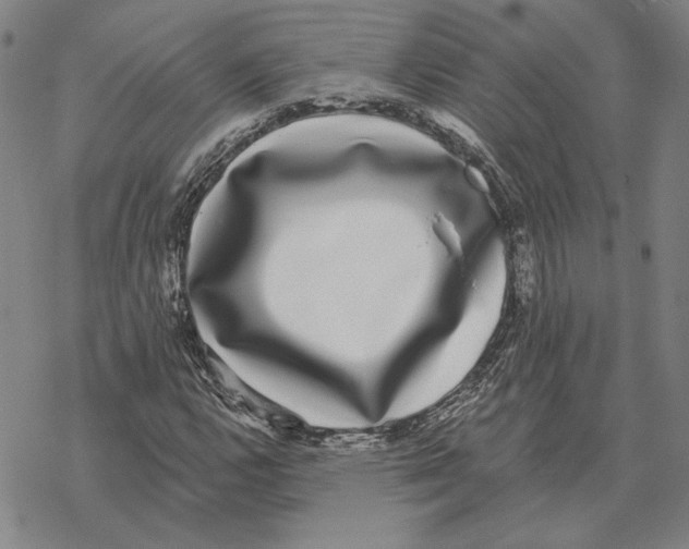 X0000069381112200606091644