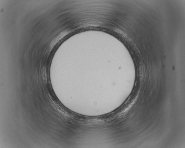 X0000069381113200606091644