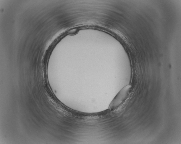 X0000069381118200606091644