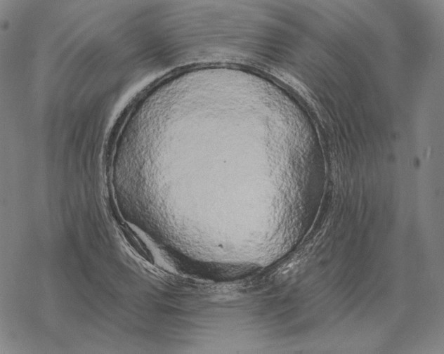 X0000069381120200606091644