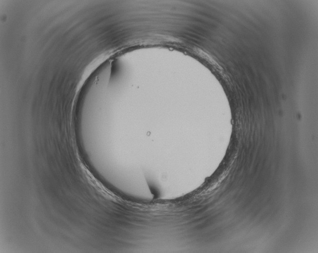 X0000069381122200606091644