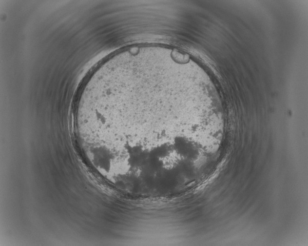 X0000069381125200606091644