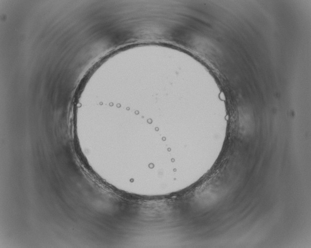 X0000069381126200606091644