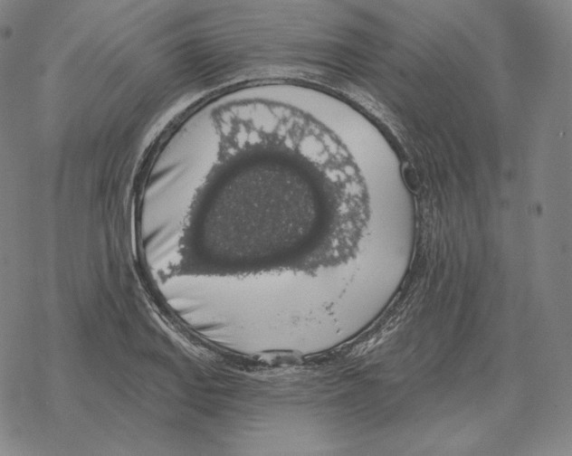 X0000069381127200606091644