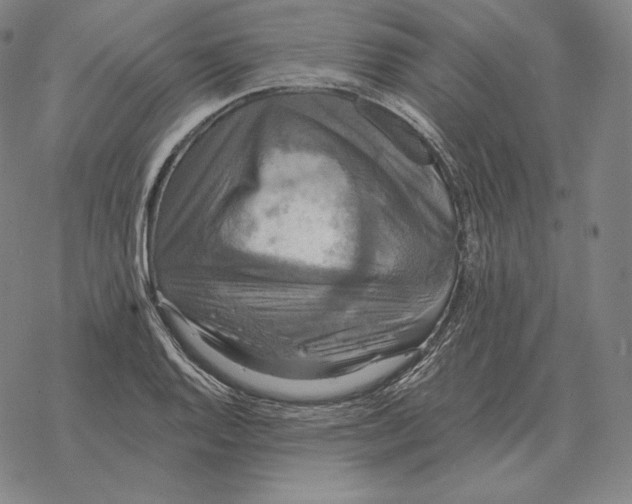 X0000069381128200606091644