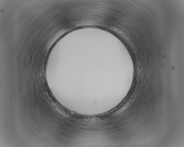 X0000069381129200606091644