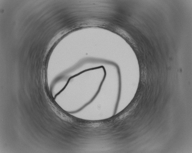 X0000069381130200606091644