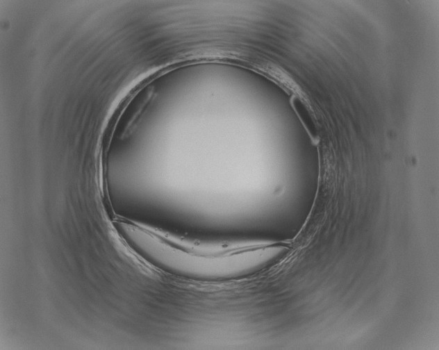 X0000069381132200606091644