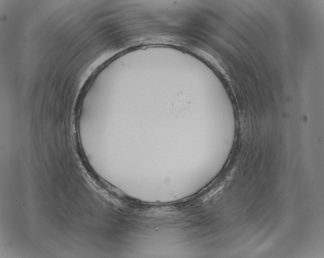 X0000069381133200606091644