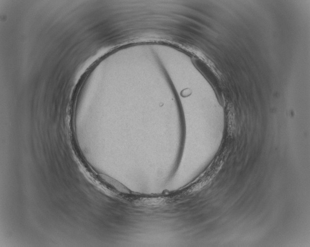 X0000069381134200606091644