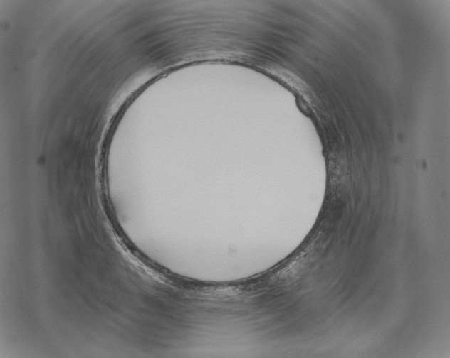 X0000069381135200606091644