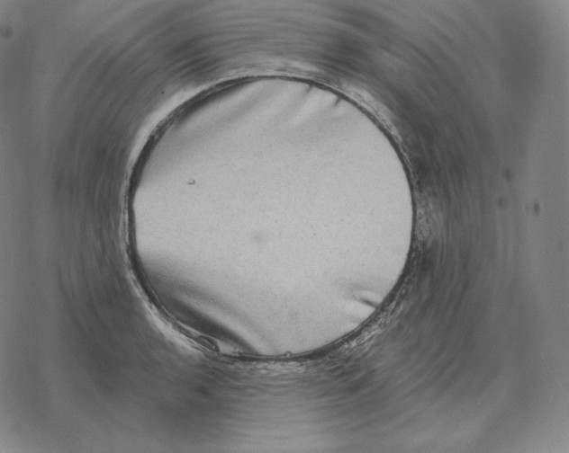 X0000069381136200606091644