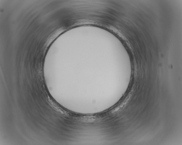 X0000069381137200606091644