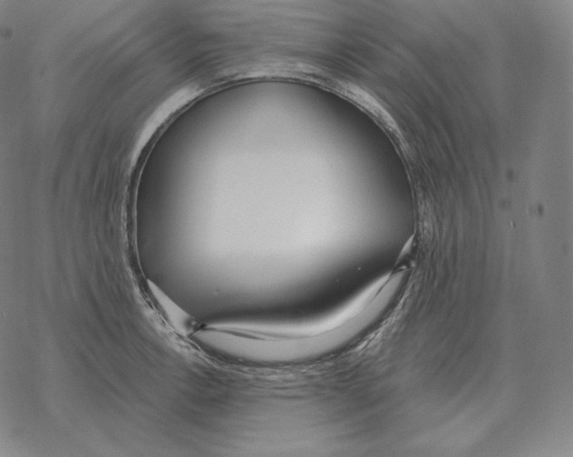 X0000069381138200606091644