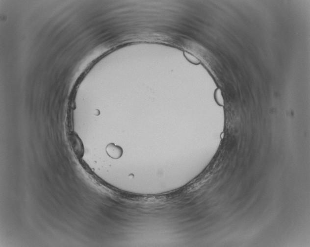 X0000069381139200606091644