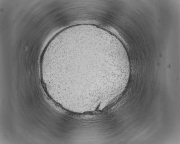 X0000069381140200606091644