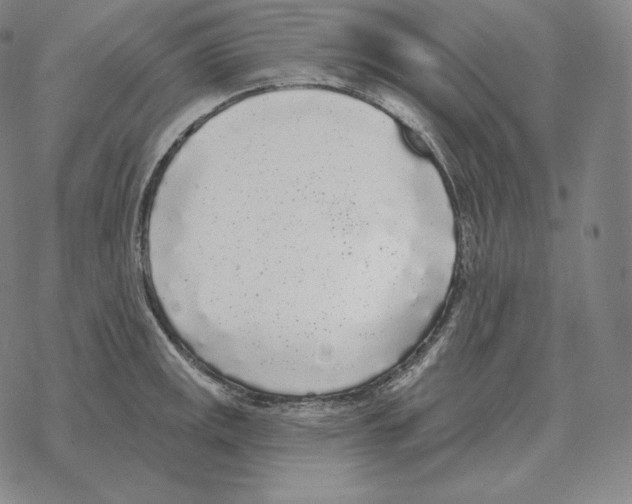 X0000069381141200606091644