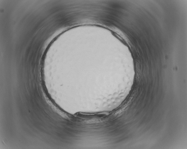 X0000069381142200606091644