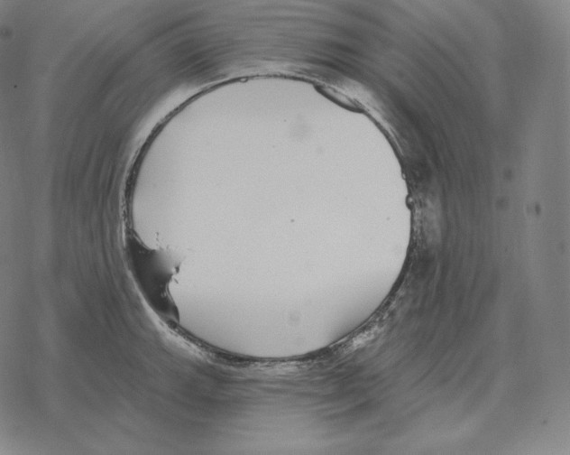 X0000069381143200606091644