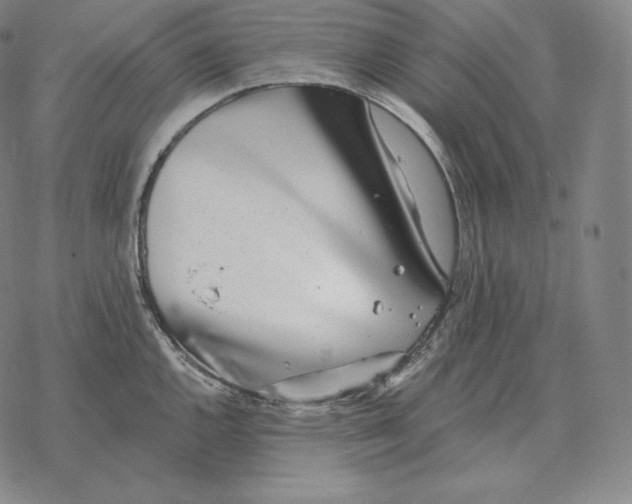 X0000069381144200606091644