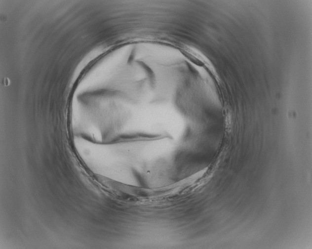 X0000069381146200606091644