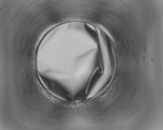 X0000069381148200606091644