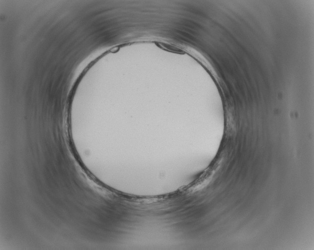 X0000069381149200606091644