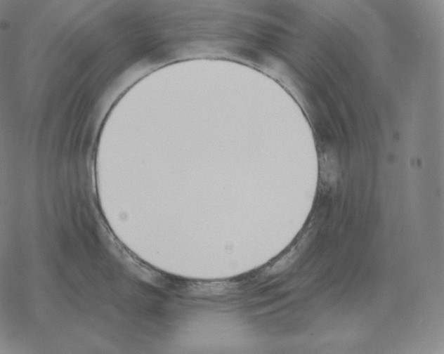 X0000069381150200606091644