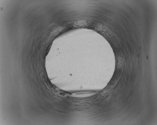 X0000069381153200606091644