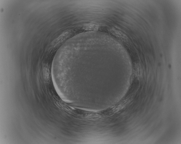 X0000069381154200606091644