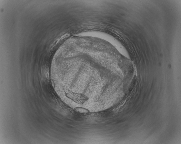 X0000069381155200606091644