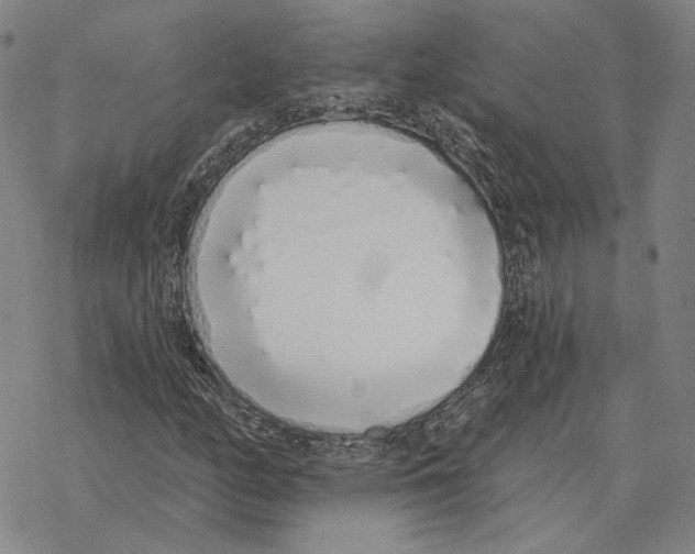 X0000069381158200606091644