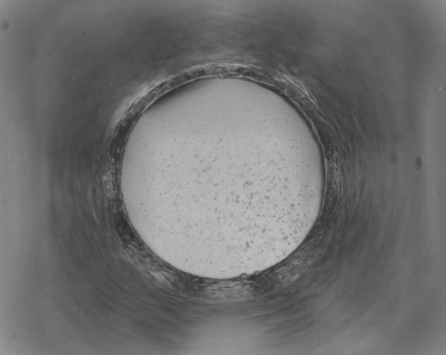 X0000069381159200606091644