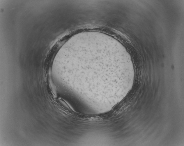 X0000069381160200606091644