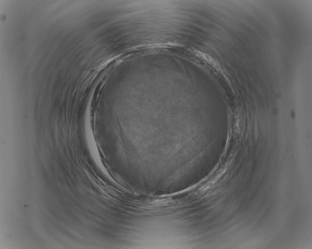 X0000069381161200606091644