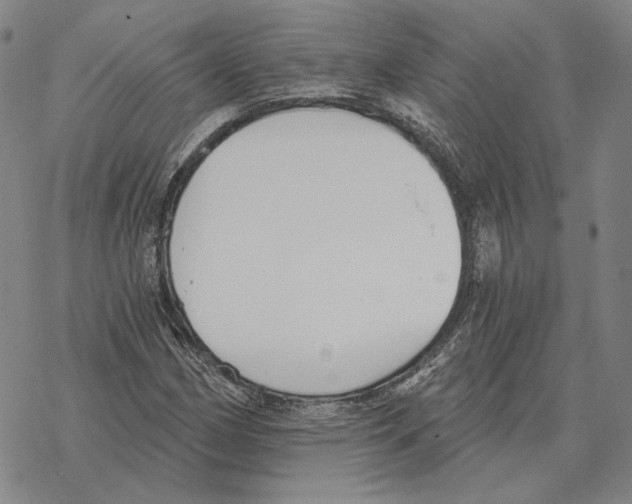 X0000069381162200606091644