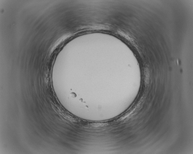 X0000069381163200606091644