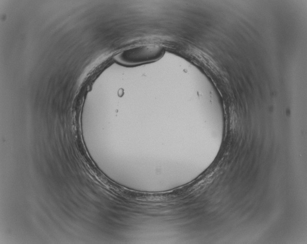 X0000069381164200606091644