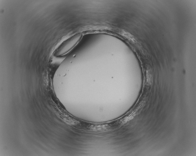 X0000069381165200606091644