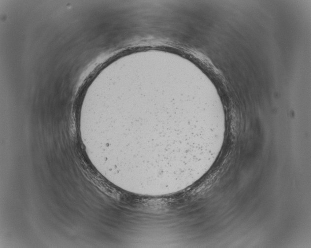 X0000069381167200606091644