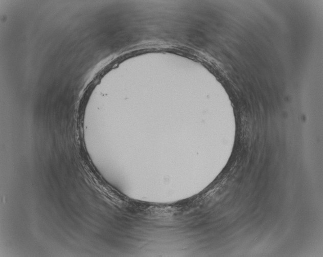 X0000069381168200606091644