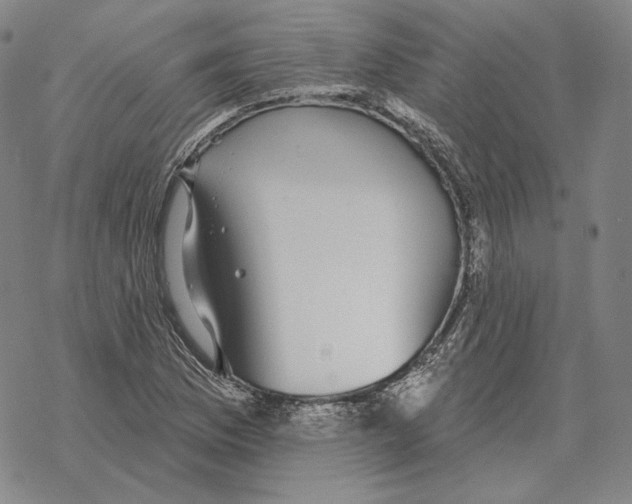 X0000069381169200606091643