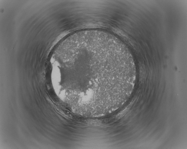 X0000069381170200606091643