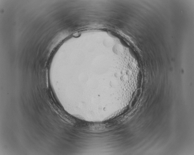 X0000069381171200606091643