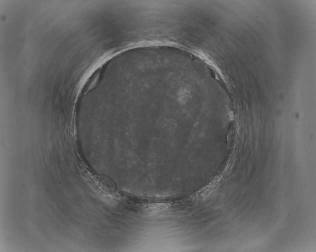 X0000069381173200606091643