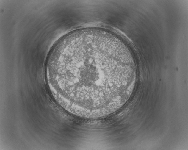 X0000069381174200606091643